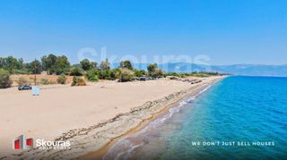 Αγροτεμάχια 17.367,79 τ.μ. για πώληση, Μεσσηνία, Μεσσήνη-thumb-6