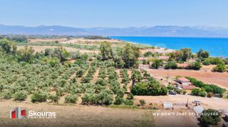 Αγροτεμάχια 17.367,79 τ.μ. για πώληση, Μεσσηνία, Μεσσήνη-thumb-9