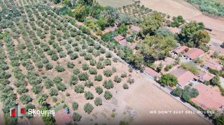 Αγροτεμάχια 17.367,79 τ.μ. για πώληση, Μεσσηνία, Μεσσήνη-thumb-14