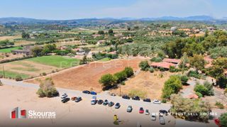 Αγροτεμάχια 17.367,79 τ.μ. για πώληση, Μεσσηνία, Μεσσήνη-thumb-11