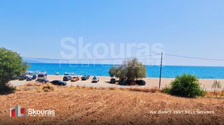 Αγροτεμάχια 17.367,79 τ.μ. για πώληση, Μεσσηνία, Μεσσήνη-thumb-12