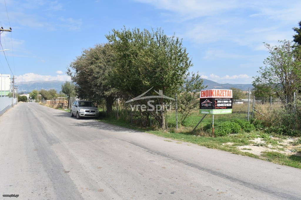 Αγροτεμάχια 5.000 τ.μ. για ενοικίαση, Ν. Ιωαννίνων, Ιωάννινα