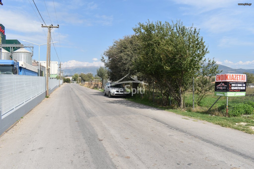 Αγροτεμάχια 5.000 τ.μ. προς ενοικίαση, Ν. Ιωαννίνων, Ιωάννινα
