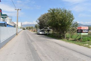Αγροτεμάχια 5.000 τ.μ. για ενοικίαση, Ν. Ιωαννίνων, Ιωάννινα-thumb-19