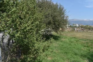 Αγροτεμάχια 5.000 τ.μ. για ενοικίαση, Ν. Ιωαννίνων, Ιωάννινα-thumb-20