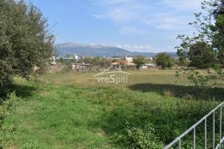 Αγροτεμάχια 5.000 τ.μ. για ενοικίαση, Ν. Ιωαννίνων, Ιωάννινα-thumb-21