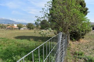 Αγροτεμάχια 5.000 τ.μ. για ενοικίαση, Ν. Ιωαννίνων, Ιωάννινα-thumb-22