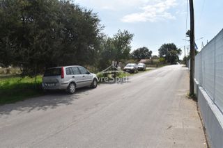 Αγροτεμάχια 5.000 τ.μ. για ενοικίαση, Ν. Ιωαννίνων, Ιωάννινα-thumb-25