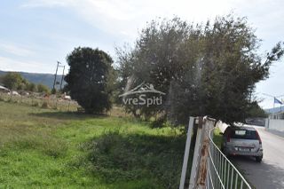 Αγροτεμάχια 5.000 τ.μ. για ενοικίαση, Ν. Ιωαννίνων, Ιωάννινα-thumb-31