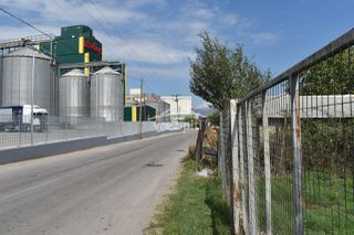 Αγροτεμάχια 5.000 τ.μ. για ενοικίαση, Ν. Ιωαννίνων, Ιωάννινα-thumb-35