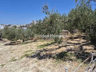 Αγροτεμάχια 1.000 τ.μ. για πώληση