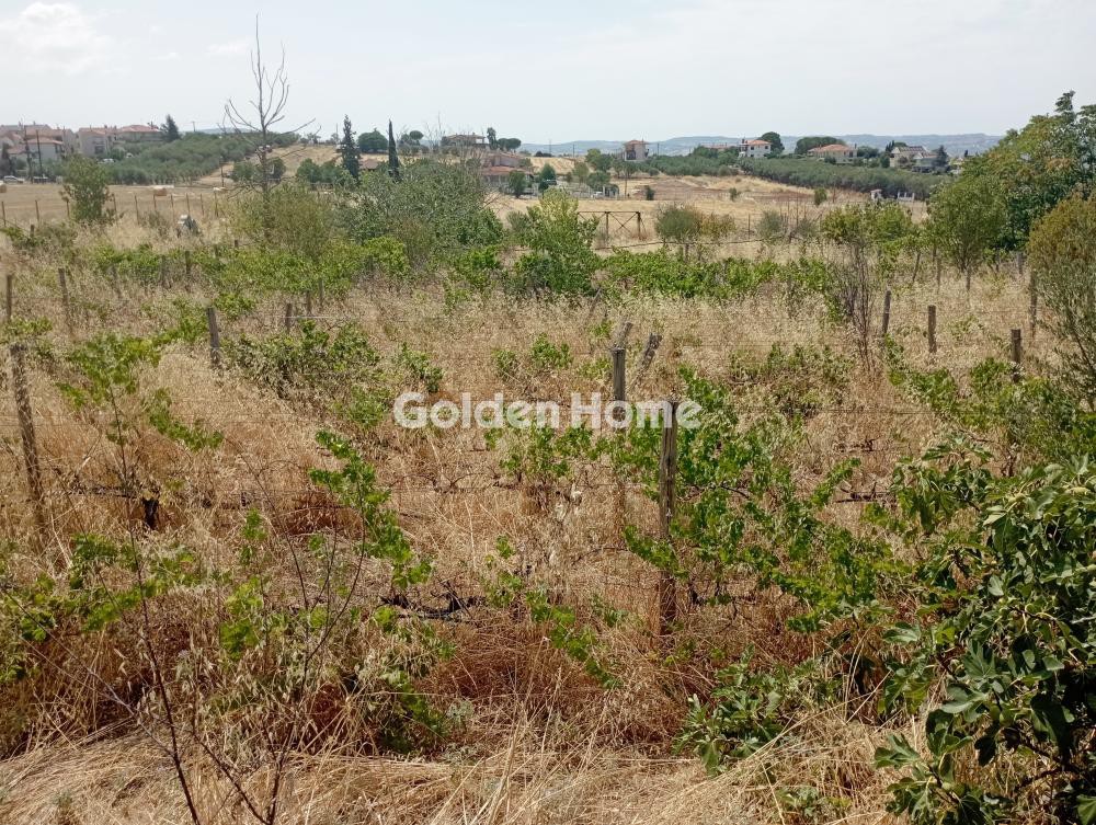 Οικόπεδο 5.730 τ.μ. πρός ενοικίαση, Θεσσαλονίκη - Περιφ/Κοί Δήμοι, Θέρμη