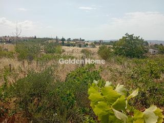 Οικόπεδο 5.730 τ.μ. για ενοικίαση