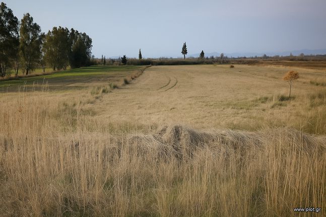 Αγροτεμάχια 20.582 τ.μ. για πώληση, Ν. Ηλείας, Βώλακας