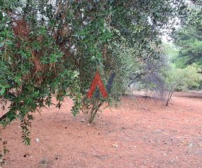Οικόπεδο 620 τ.μ. για πώληση