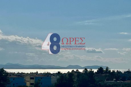 Μονοκατοικία 230τ.μ. για πώληση-Βάρη- βάρκιζα » Κέντρο