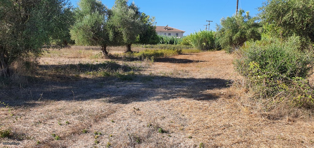 Αγροτεμάχια 5.383 τ.μ. πρός πώληση, Ν. Ηλείας, Πύργος
