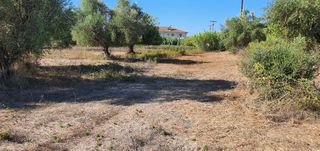 Αγροτεμάχια 5.383 τ.μ. για πώληση
