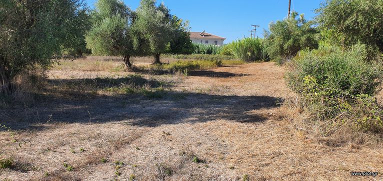 Αγροτεμάχια 5.383 τ.μ. για πώληση, Ν. Ηλείας, Πύργος