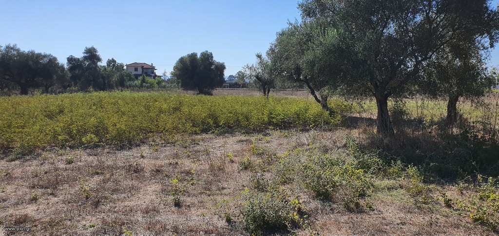 Αγροτεμάχια 5.383 τ.μ. πρός πώληση, Ν. Ηλείας, Πύργος