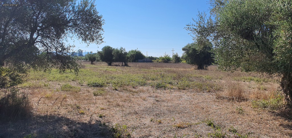 Αγροτεμάχια 5.383 τ.μ. πρός πώληση, Ν. Ηλείας, Πύργος