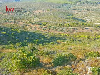 Αγροτεμάχια 32.004 τ.μ. για πώληση