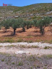 Αγροτεμάχια 32.004 τ.μ. προς πώληση, Ζάκυνθος, Ελάτιο-thumb-2