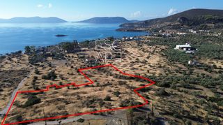 Οικόπεδο 16.400 τ.μ. για πώληση