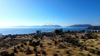 Οικόπεδο 16.400 τ.μ. για πώληση, Αργολίδα, Ερμιόνη-thumb-2