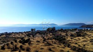 Οικόπεδο 16.400 τ.μ. για πώληση, Αργολίδα, Ερμιόνη-thumb-4