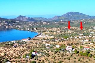 Οικόπεδο 16.400 τ.μ. για πώληση, Αργολίδα, Ερμιόνη-thumb-5
