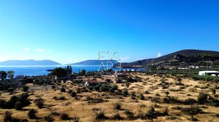 Οικόπεδο 16.400 τ.μ. για πώληση, Αργολίδα, Ερμιόνη-thumb-6