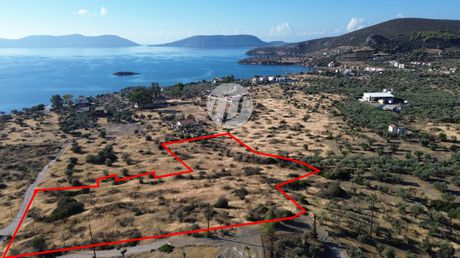 Land plot 16.400sqm for sale-Ermioni » Achladitsa