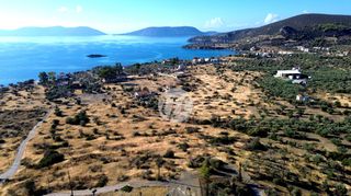 Οικόπεδο 16.400 τ.μ. για πώληση, Αργολίδα, Ερμιόνη-thumb-1