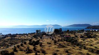 Οικόπεδο 16.400 τ.μ. για πώληση, Αργολίδα, Ερμιόνη-thumb-2