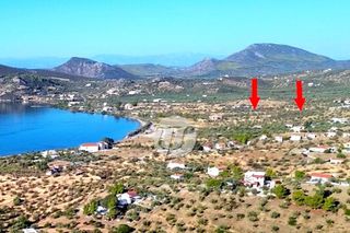 Οικόπεδο 16.400 τ.μ. για πώληση, Αργολίδα, Ερμιόνη-thumb-4