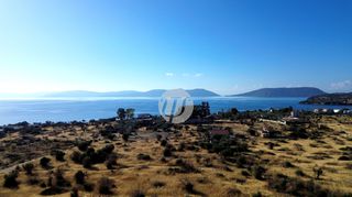 Οικόπεδο 16.400 τ.μ. για πώληση, Αργολίδα, Ερμιόνη-thumb-5