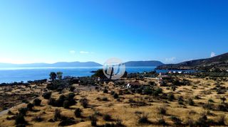 Οικόπεδο 16.400 τ.μ. για πώληση, Αργολίδα, Ερμιόνη-thumb-6