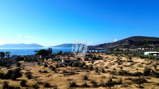 Οικόπεδο 16.400 τ.μ. για πώληση, Αργολίδα, Ερμιόνη-thumb-7