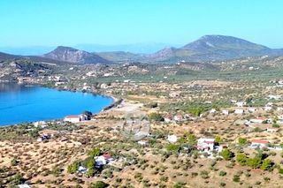Οικόπεδο 16.400 τ.μ. για πώληση, Αργολίδα, Ερμιόνη-thumb-9