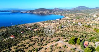 Οικόπεδο 16.400 τ.μ. για πώληση, Αργολίδα, Ερμιόνη-thumb-10