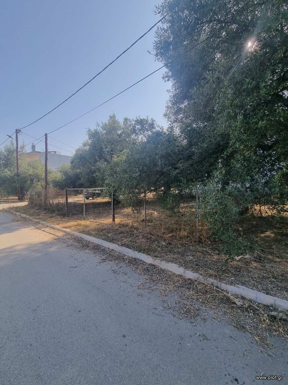 Οικόπεδο 225 τ.μ. προς πώληση, Λαδοχώρι