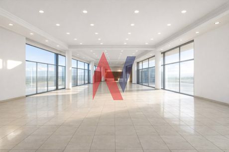 Επιχειρηματικό κτίριο 1.300 τ.μ. πρός ενοικίαση