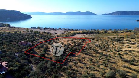 Land plot 8.503sqm for sale-Ermioni » Achladitsa
