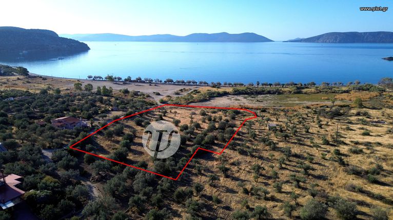 Οικόπεδο 8.503 τ.μ. για πώληση, Αργολίδα, Ερμιόνη
