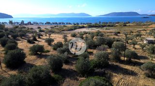 Οικόπεδο 8.503 τ.μ. για πώληση, Αργολίδα, Ερμιόνη-thumb-2