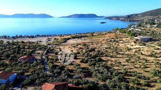 Οικόπεδο 8.503 τ.μ. για πώληση, Αργολίδα, Ερμιόνη-thumb-3