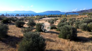 Οικόπεδο 8.503 τ.μ. για πώληση, Αργολίδα, Ερμιόνη-thumb-4