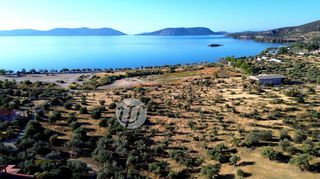 Οικόπεδο 8.503 τ.μ. για πώληση, Αργολίδα, Ερμιόνη-thumb-5