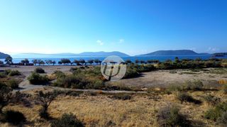 Οικόπεδο 8.503 τ.μ. για πώληση, Αργολίδα, Ερμιόνη-thumb-9